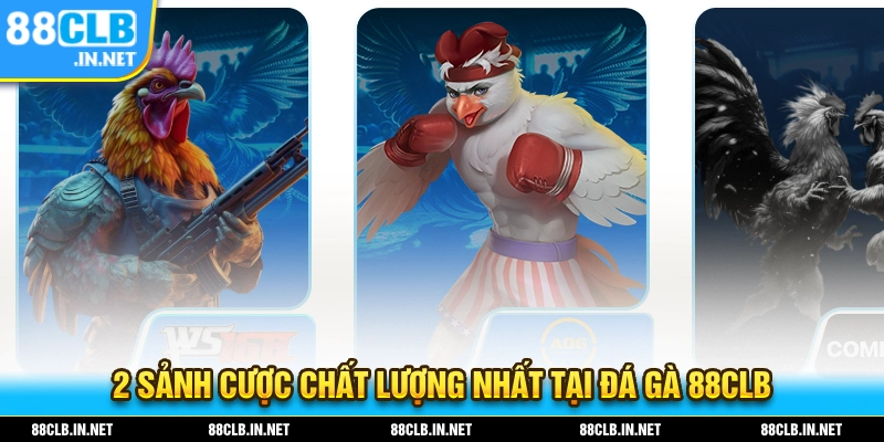 2 Sảnh cược chất lượng nhất tại đá gà 88CLB